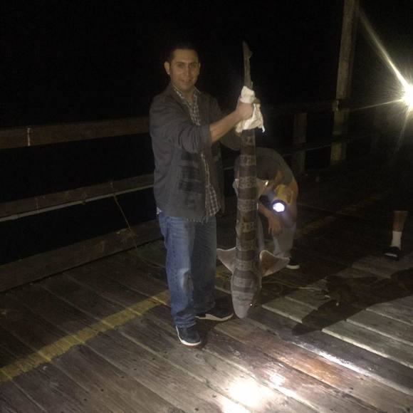 Meet your Posher, Jose - Picture 1 of 1